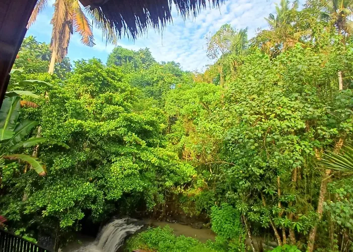 Oemah Ubud - Waterfall ホームステイ パヤンガン