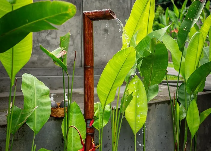 ホームステイ Oemah Ubud - Waterfall